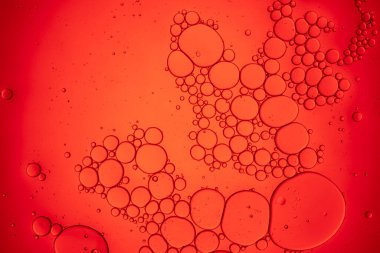 Kırmızı zemine su, baloncuk ve yağ damlaları ile soyut bileşim