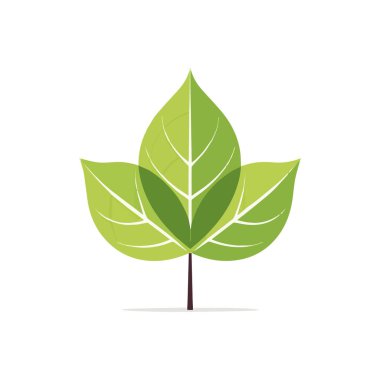 Bitkilerle metin arkaplanı ve tebrik kartları, posterler, pankartlar ve afişler için yapraklar içeren metin arkaplanı için basit düz bir illüstrasyon ile vektör ilülasyonu