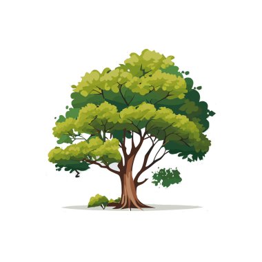 Düz stilize ağaçlar kümesi. Doğal vektör çizim. Yan görünüm