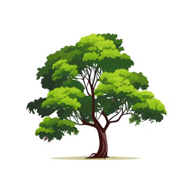 Düz stilize ağaçlar kümesi. Doğal vektör çizim. Yan görünüm