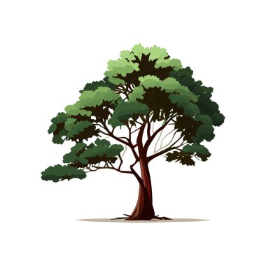 Düz stilize ağaçlar kümesi. Doğal vektör çizim. Yan görünüm