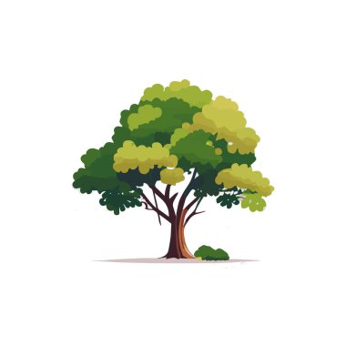 Düz stilize ağaçlar kümesi. Doğal vektör çizim. Yan görünüm