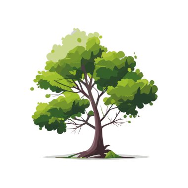 Düz stilize ağaçlar kümesi. Doğal vektör çizim. Yan görünüm