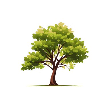 Düz stilize ağaçlar kümesi. Doğal vektör çizim. Yan görünüm