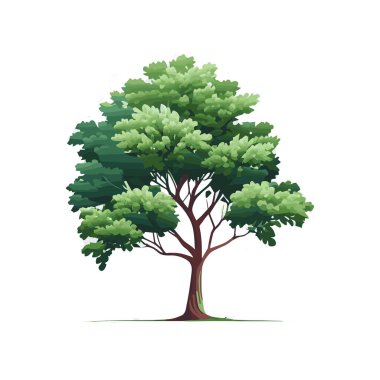 Düz stilize ağaçlar kümesi. Doğal vektör çizim. Yan görünüm