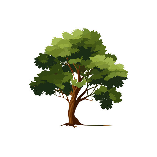 Set of flat stylized trees. Natural vector illustration. Side view