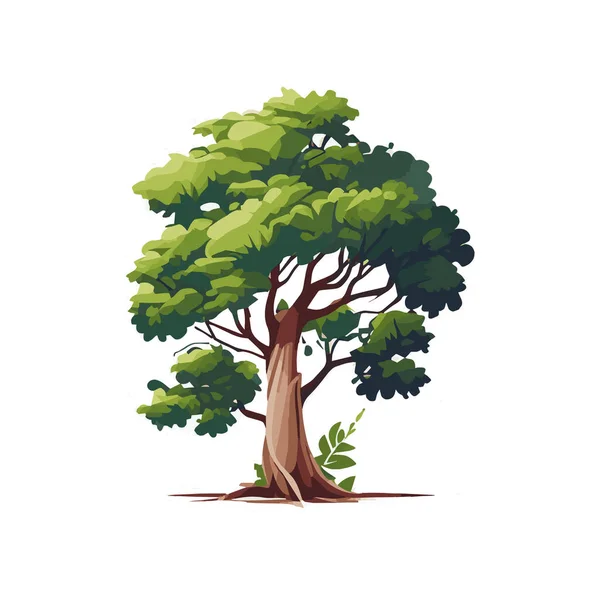 Набор Плоских Стилизованных Деревьев Естественная Векторная Иллюстрация Вид Сбоку — стоковый вектор