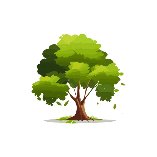 Набор Плоских Стилизованных Деревьев Естественная Векторная Иллюстрация Вид Сбоку — стоковый вектор