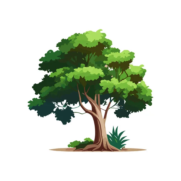 Conjunto Árvores Estilizadas Planas Ilustração Vetorial Natural Vista Lateral — Vetor de Stock