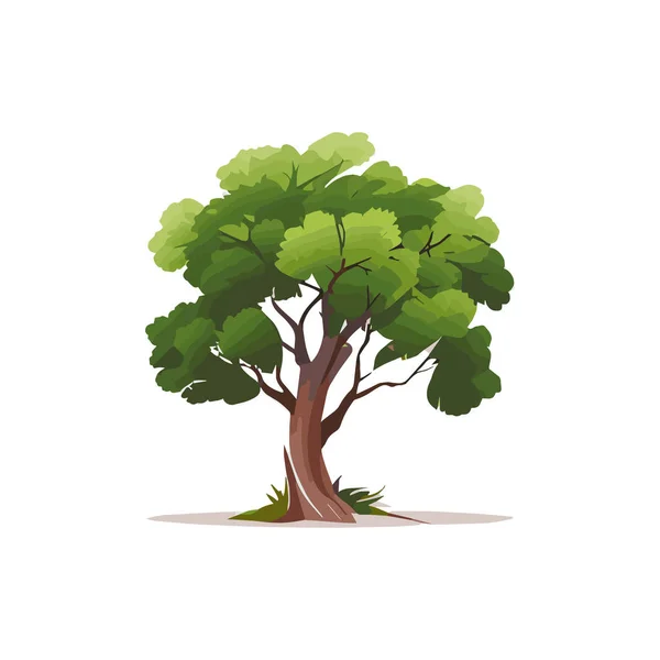 Conjunto Árvores Estilizadas Planas Ilustração Vetorial Natural Vista Lateral —  Vetores de Stock