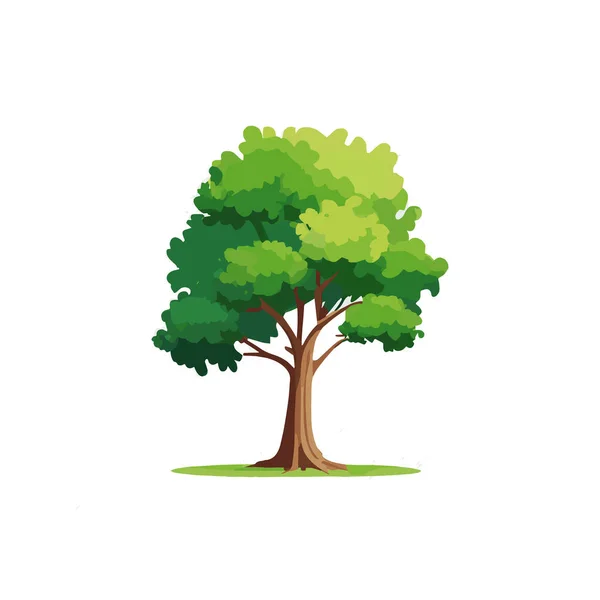 Stilisierte Flache Bäume Natürliche Vektorillustration Seitenansicht — Stockvektor