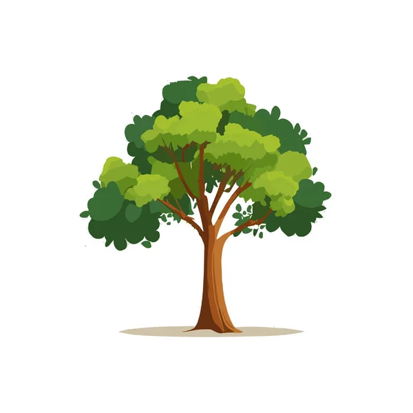 Stilisierte Flache Bäume Natürliche Vektorillustration Seitenansicht — Stockvektor