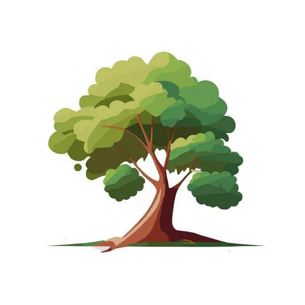 平的程式化树的集合 自然的矢量图 侧视图 — 图库矢量图片