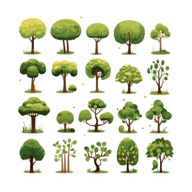 Ağaçlar düz vektör çizimleri ayarlandı. Egzotik plaj bitkileri izole edilmiş tasarım elementleri. Yeşil yapraklar beyaz arkaplanda dallar ve gövde koleksiyonu yapar.