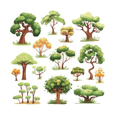 Ağaçlar düz vektör çizimleri ayarlandı. Egzotik plaj bitkileri izole edilmiş tasarım elementleri. Yeşil yapraklar beyaz arkaplanda dallar ve gövde koleksiyonu yapar.