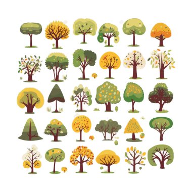 Ağaçlar düz vektör çizimleri ayarlandı. Egzotik plaj bitkileri izole edilmiş tasarım elementleri. Yeşil yapraklar beyaz arkaplanda dallar ve gövde koleksiyonu yapar.