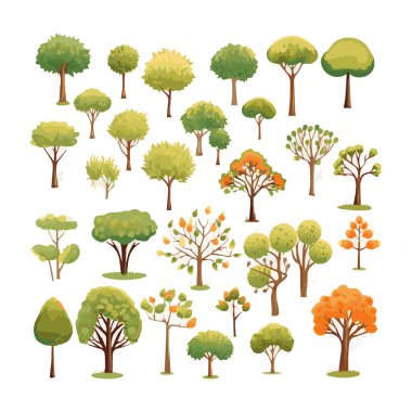 Ağaçlar düz vektör çizimleri ayarlandı. Egzotik plaj bitkileri izole edilmiş tasarım elementleri. Yeşil yapraklar beyaz arkaplanda dallar ve gövde koleksiyonu yapar.