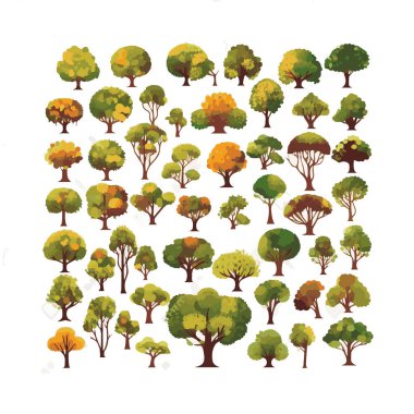 Ağaçlar düz vektör çizimleri ayarlandı. Egzotik plaj bitkileri izole edilmiş tasarım elementleri. Yeşil yapraklar beyaz arkaplanda dallar ve gövde koleksiyonu yapar.