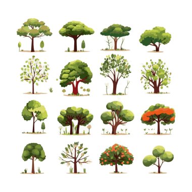 Ağaçlar düz vektör çizimleri ayarlandı. Egzotik plaj bitkileri izole edilmiş tasarım elementleri. Yeşil yapraklar beyaz arkaplanda dallar ve gövde koleksiyonu yapar.