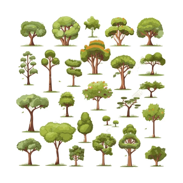 Bäume Flache Vektorillustrationen Gesetzt Exotische Strandpflanzen Vereinzeln Gestaltungselemente Grüne Blätter — Stockvektor