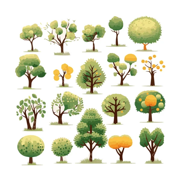 Drzewa Płaskie Wektor Ilustracje Zestaw Egzotyczne Rośliny Plażowe Izolowane Elementy — Wektor stockowy