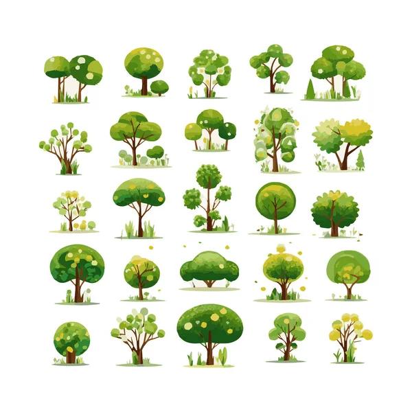 Árboles Vector Plano Ilustraciones Conjunto Exóticas Plantas Playa Aisladas Diseño — Vector de stock