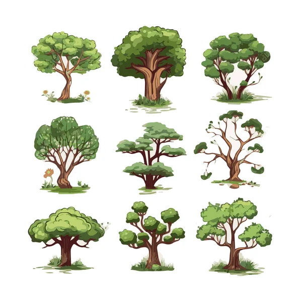 Ağaçlar düz vektör çizimleri ayarlandı. Egzotik plaj bitkileri izole edilmiş tasarım elementleri. Yeşil yapraklar beyaz arkaplanda dallar ve gövde koleksiyonu yapar.