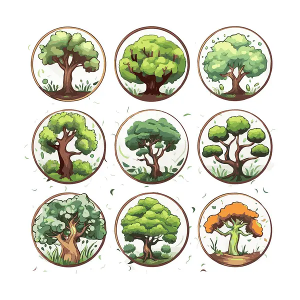 Árvores Planas Conjunto Ilustrações Vetoriais Plantas Praia Exóticas Elementos Design — Vetor de Stock