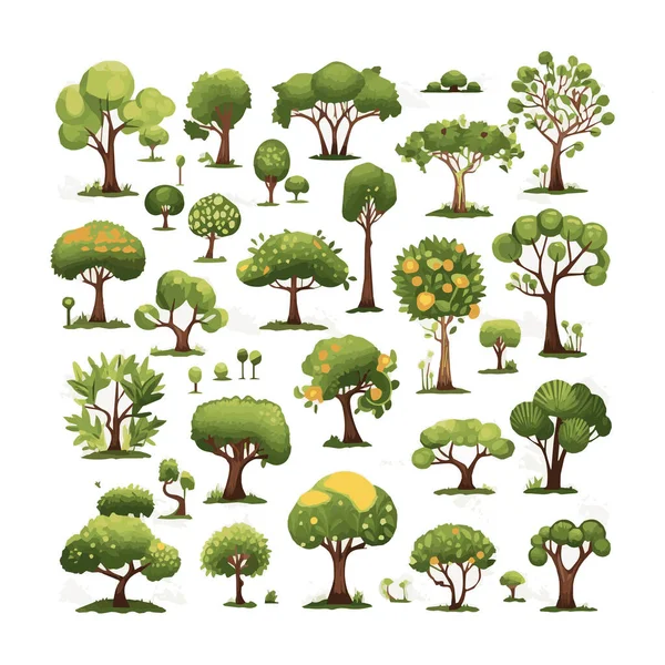 Набор Векторных Рисунков Деревьев Экзотические Пляжные Растения Изолированные Элементы Дизайна — стоковый вектор