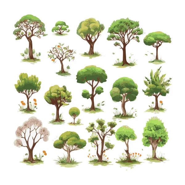 Trees Flat Vector Illustrations Set Exotic Beach Plants Isolated Design — Stock Vector