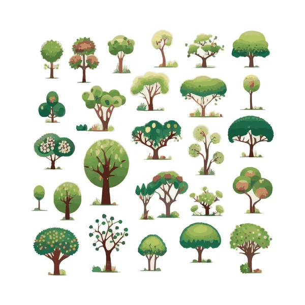 Árvores Planas Conjunto Ilustrações Vetoriais Plantas Praia Exóticas Elementos Design — Vetor de Stock