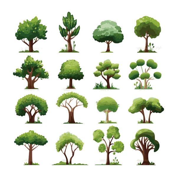 Árboles Vector Plano Ilustraciones Conjunto Exóticas Plantas Playa Aisladas Diseño — Vector de stock