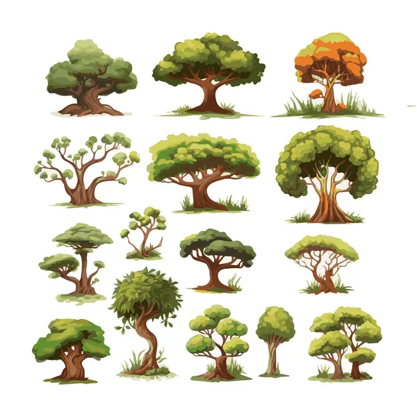 Puut Tasainen Vektori Kuvat Asetettu Eksoottisia Rantakasveja Eristetty Muotoilu Elementtejä — vektorikuva