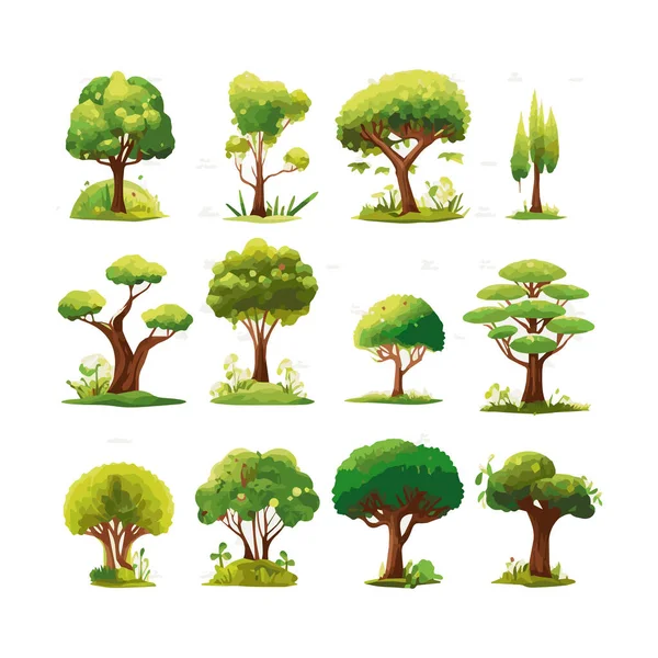 Ağaçlar düz vektör çizimleri ayarlandı. Egzotik plaj bitkileri izole edilmiş tasarım elementleri. Yeşil yapraklar beyaz arkaplanda dallar ve gövde koleksiyonu yapar.