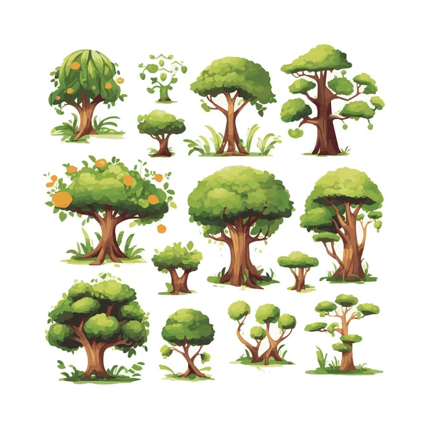 木のフラットベクトルイラストセット エキゾチックなビーチプラント隔離された設計要素パック 緑の葉枝と幹の漫画コレクション白の背景 — ストックベクタ