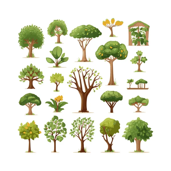 Drzewa Płaskie Wektor Ilustracje Zestaw Egzotyczne Rośliny Plażowe Izolowane Elementy — Wektor stockowy