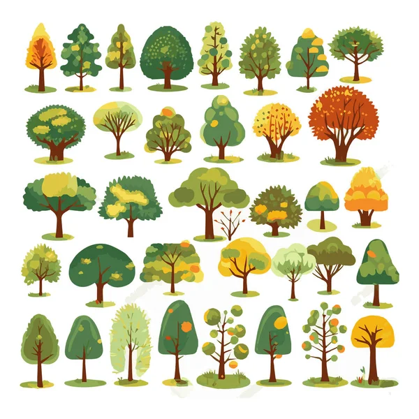 Trees Flat Vector Illustrations Set Exotic Beach Plants Isolated Design — Stock Vector