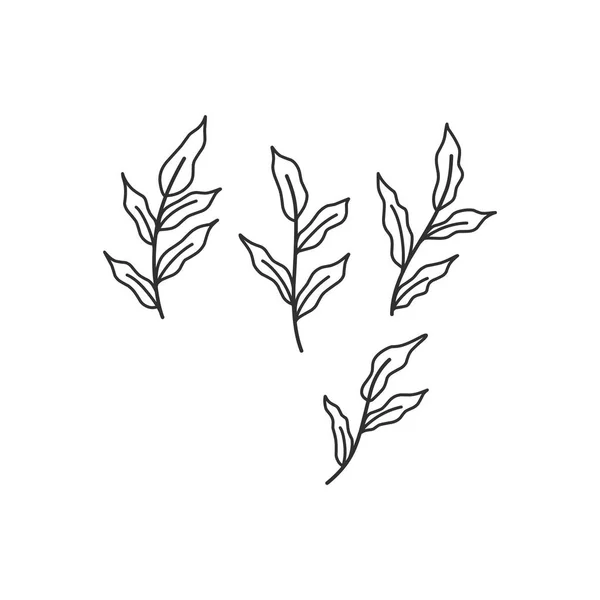 Floral Branch Minimalist Leaves Logo Tattoo Hand Drawn Line Wedding — Stockvector