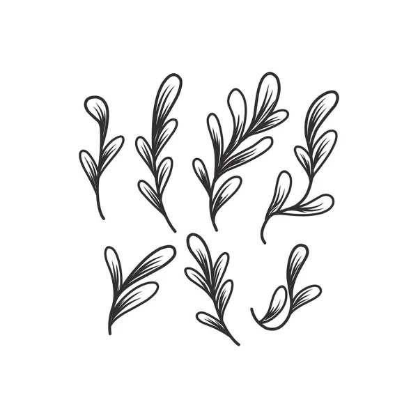 Blommig Gren Och Minimalistiska Blad För Logotyp Eller Tatuering Handritad — Stock vektor