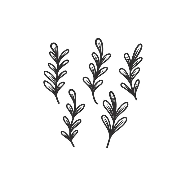 Ramo Floral Folhas Minimalistas Para Logotipo Tatuagem Linha Desenhada Mão —  Vetores de Stock