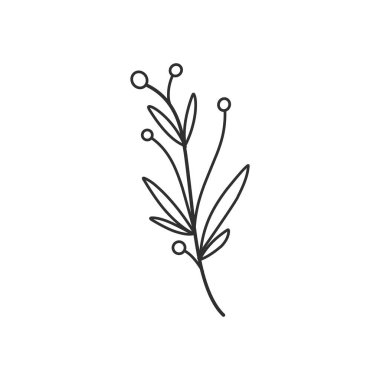 Floral branch and minimalist leaves for logo or tattoo. Hand drawn line wedding herb, elegant wildflowers. Minimal line art drawing for print, cover or wallpaper