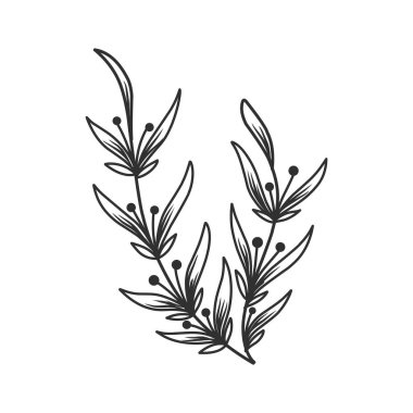 Çiçek dalı ve logo ya da dövme için minimalist yapraklar. El yapımı düğün otları, zarif kır çiçekleri. Baskı, kapak veya duvar kağıdı için en küçük çizgi çizimi