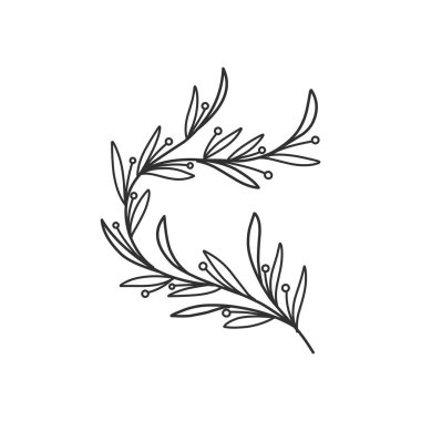 Çiçek dalı ve logo ya da dövme için minimalist yapraklar. El yapımı düğün otları, zarif kır çiçekleri. Baskı, kapak veya duvar kağıdı için en küçük çizgi çizimi