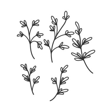 Floral branch and minimalist leaves for logo or tattoo. Hand drawn line wedding herb, elegant wildflowers. Minimal line art drawing for print, cover or wallpaper