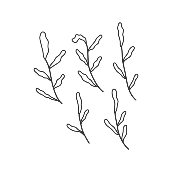 Floral Branch Minimalist Leaves Logo Tattoo Hand Drawn Line Wedding — Stock Vector