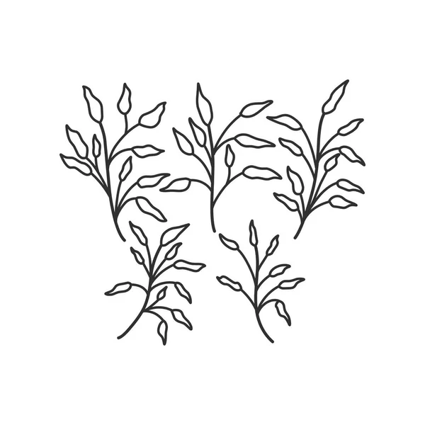 Çiçek Dalı Logo Dövme Için Minimalist Yapraklar Yapımı Düğün Otları — Stok Vektör
