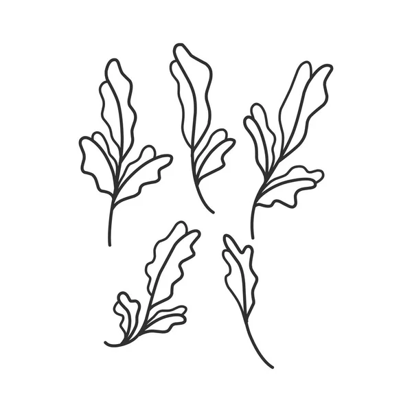 Ramo Floral Folhas Minimalistas Para Logotipo Tatuagem Linha Desenhada Mão —  Vetores de Stock