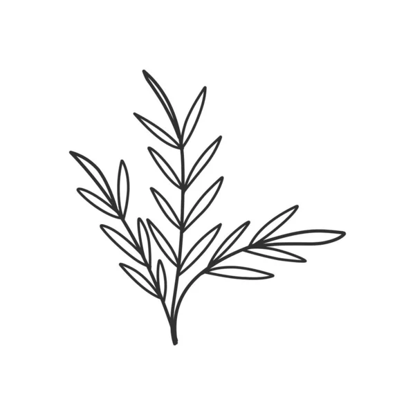 Ανθισμένα Κλαδιά Και Μινιμαλιστικά Φύλλα Για Λογότυπο Τατουάζ Χειροποίητο Γαμήλιο Διανυσματικά Γραφικά