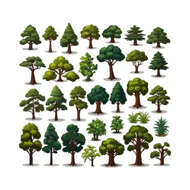 Ağaçlar düz vektör çizimleri ayarlandı. Egzotik bitkiler izole edilmiş tasarım elementleri beyaz arkaplanda toplanıyor.