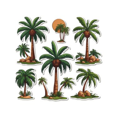 Hindistan cevizi ağaçları düz vektör çizimleri ayarlandı. Egzotik plaj bitkileri izole edilmiş tasarım elementleri beyaz arka planda paket koleksiyonu.